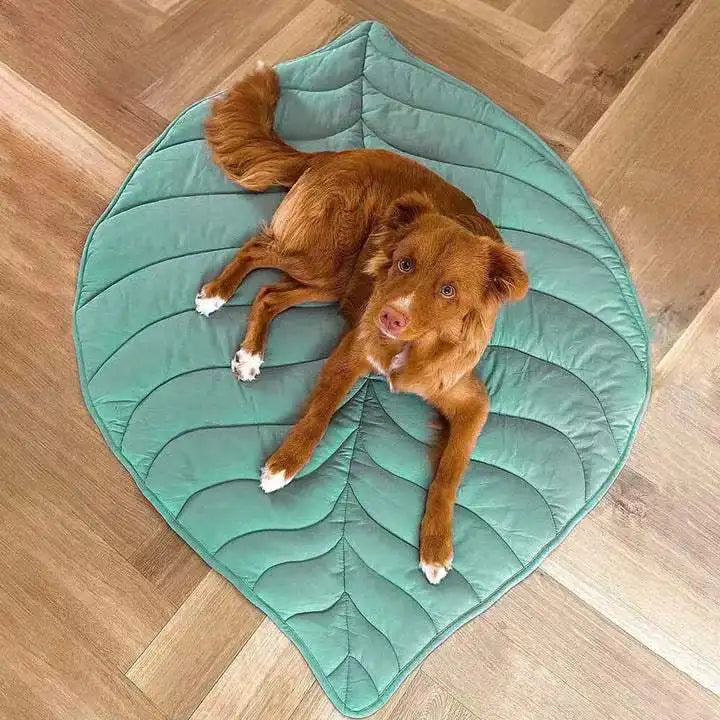Hundedecke in Blattform für das ganze Jahr